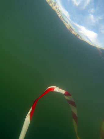 Serpent de mer - photographies - 2017