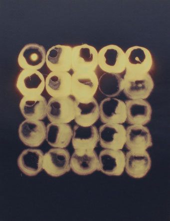 Toxic - lavis - 2013