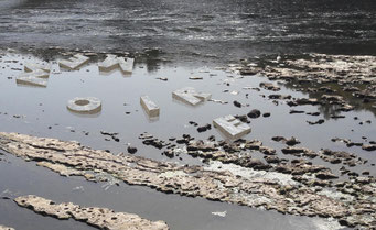 Anthropocène - installation monumentale - 2019-2020