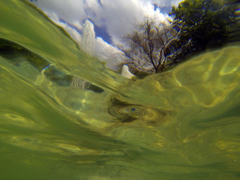 Floods - photographies - 2017