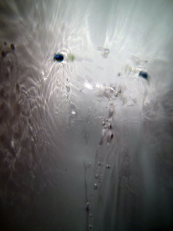 ÊTRE, photographies, 2023