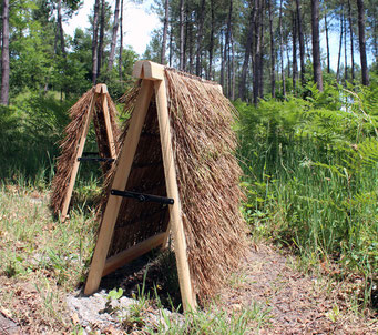 Back to the wild - sculptures - 2014