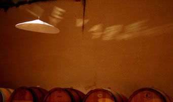 Slow - installation monumentale - 2011