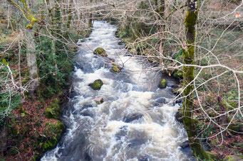 Résidence-mission, Nous sommes tous un ruisseau s'écoulant vers l'Océan, 2020-2021
