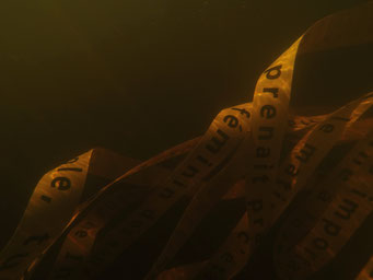 Re-trouver la mémoire, photographie, 2018