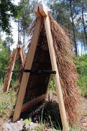 Back to the wild - sculptures - 2014