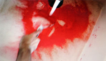 Bains de sang - vidéo - 2012