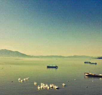 Chapala