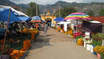 Cementerio de Tepoztlan, Mor