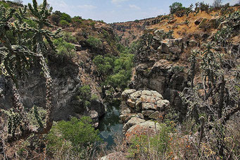 Charco del Ingenio