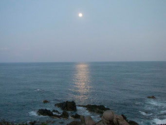 www.palapaganesh.com