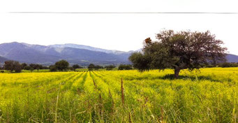 Salida a Queretaro