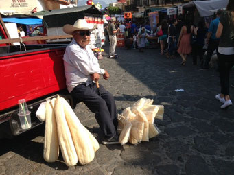 Mercado de Tepoztlan, Mor