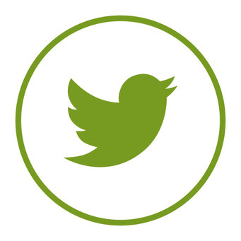 https://twitter.com/VerdurasN