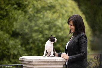 бостон терьер, boston terrier, boston terrier photos, boston terrier kennel, бостон, бостон терьер щенки, бостон терьер фото, бостон терьер питомник, бостон терьер санкт-петербург, бостон терьер спб, бостон-терьер, бостон_терьер