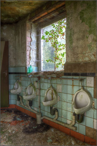 Hygiene ist das Gebot der Stunde! Baumstruktur