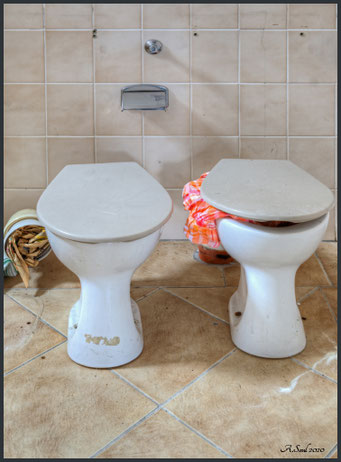 Haygiene ist das Gebot der Stunde! Vorsicht hungrige Toiletten!