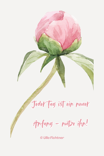Sprüche - Quotes 