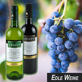 Tannat-Weine