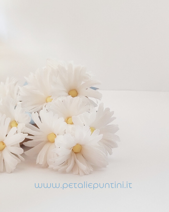 Cornucopia a conetto realizzata in carta Kraft ripiena di fiori (margherite o papaveri mini) con fiocchetto e tag con nome.    Ideale come segnaposto.  Su richiesta si puo inserire all'interno sacchetto con confetti.