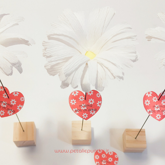 margherite segnaposto san valentino comunione battesimo nascita cresima