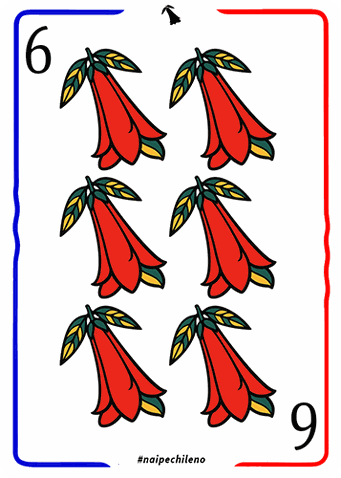 6 de Copihue