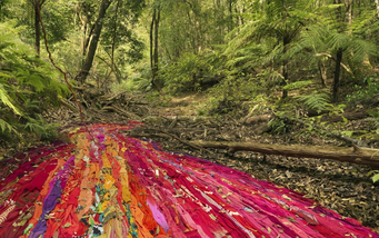 ROSEMARY LAING "Drapey and wattle" 2017 (archival prigment, print 100x152,55 cm edition of 8, sold by Lelong&co)