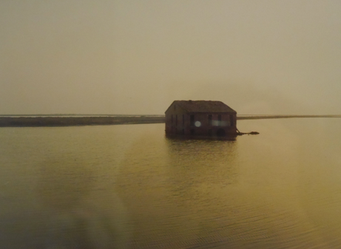 LUIGI GHIRRI  (Argine Agosta, Comacchio, 1989 Stampa cromogenica, GAM Torino)
