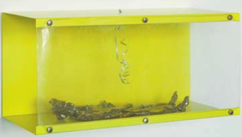 ROSEMARIE TROCKEL