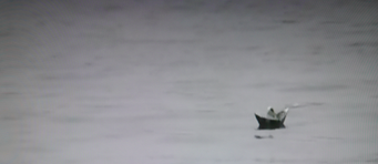 ULAN DJAPAROV, E la nave va... 2003 video documentation of the performance (Pecci, June 2018)