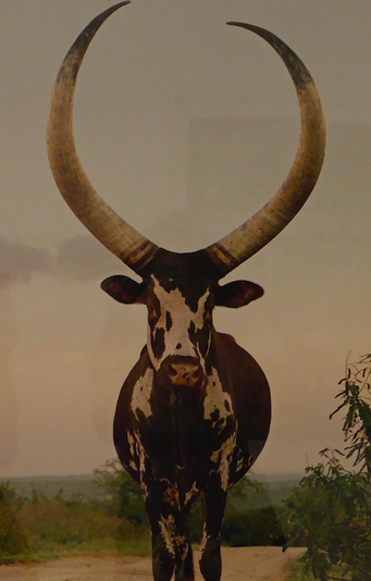 Seen at the Lyon Biennial, 2015