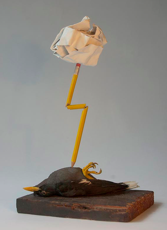 POLLY MORGAN