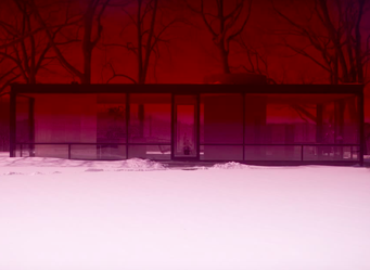 JAMES WELLING