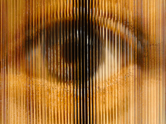 Seen at the Saatchi Gallery, London, 2012