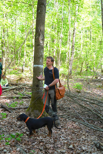 Paul Bek vor einer als "Zukunftsbaum" markierten Roteiche