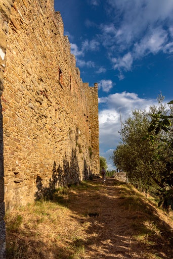 Castello di Montecchio Vesponi