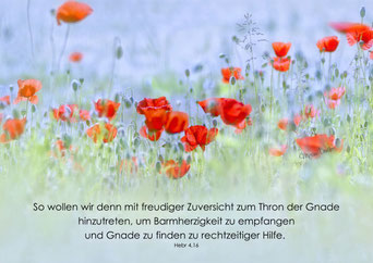 Mohnfeld, Christliche Karten, Mirjam Dentler, Sommer