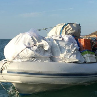 collecte de déchets sur la plage du Havre