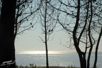 Le Petit Nice, plage océane du bassin d'Arcachon