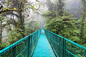 Paquete de vacaciones para visitar La Fortuna y Monteverde