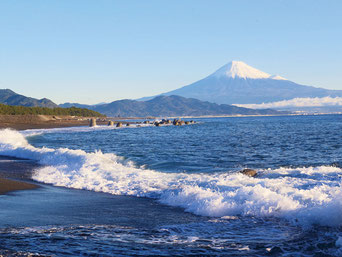 写真提供:静岡県観光協会