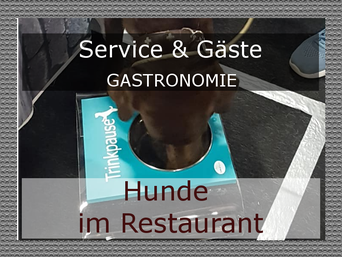 Hunde in Restaurants