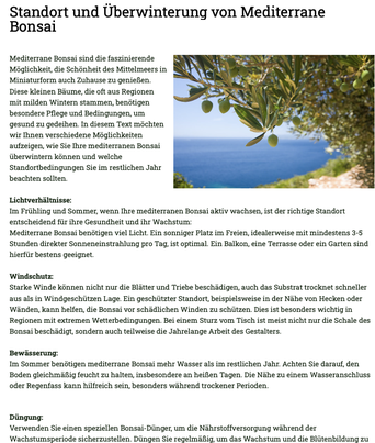 Standort und Pflege von Mediterranen Bonsai
