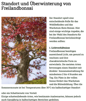 Standort und Überwinterung von Freilandbonsai
