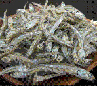 煮干し(Satsumaya)