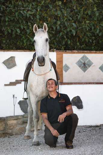 Lusitano
