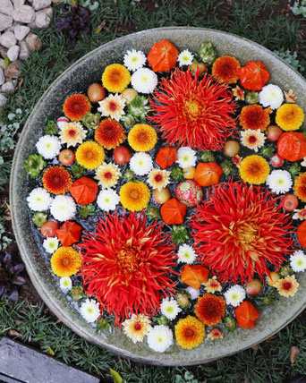 水面 Hanasakuminaru ホームページ 水面 Hanasakuminaru ホームページ