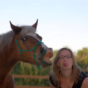 Coaching und Persönlichkeitsentwicklung mit Pferd / von Pferden lernen