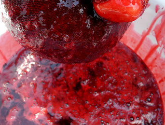 Maulbeersaft-Schwarze Maulbeere