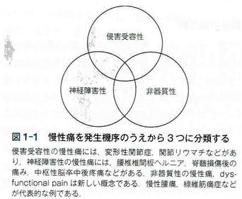 慢性痛を発生機序のうえから3つに分類する